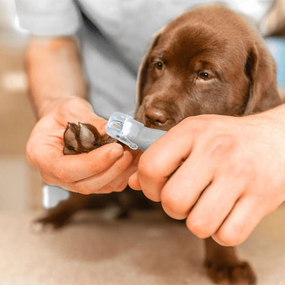 ✂️ Coupe Griffes LED pour Animaux – Sécurité, Précision et Confort